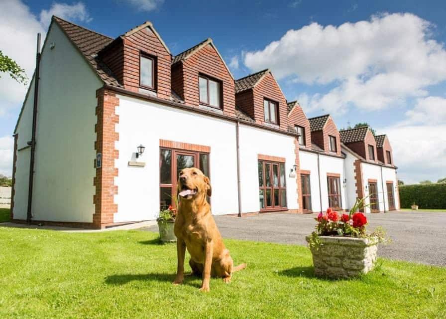 White Rose Country Cottages Thormanby المظهر الخارجي الصورة